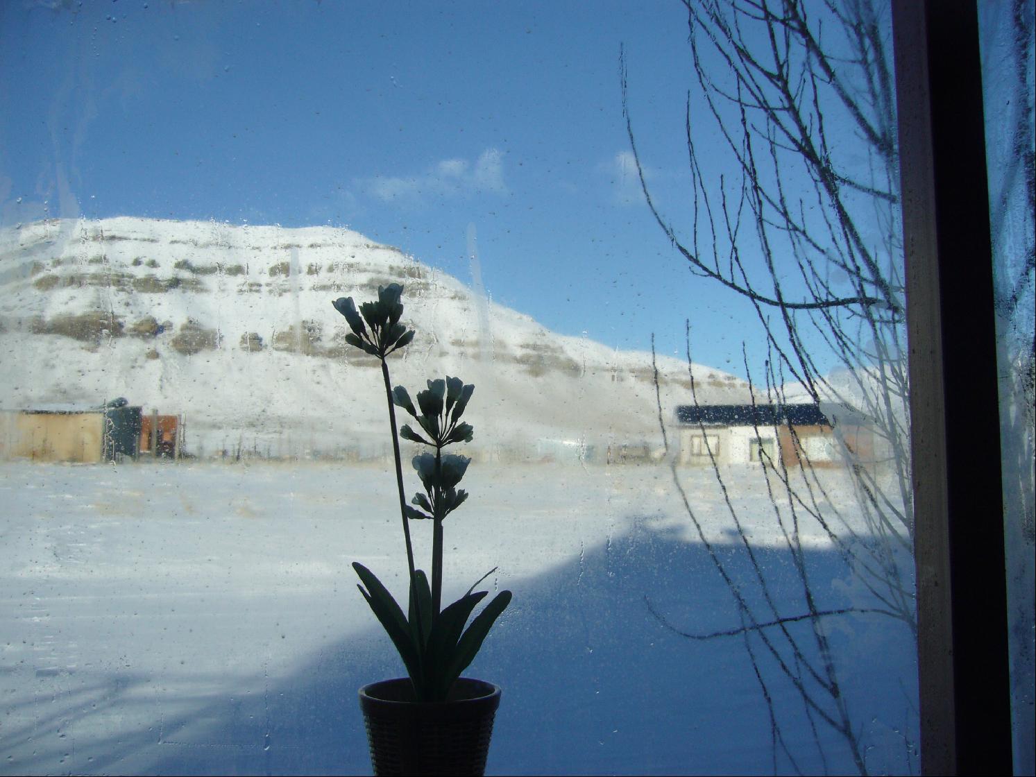 Hosteria Lupama El Calafate Eksteriør billede